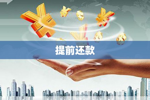 康马提前还款