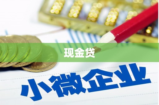 康马现金贷