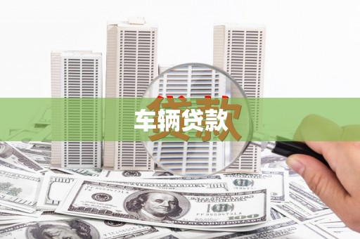 康马车辆贷款