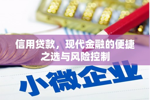 康马信用贷款，现代金融的便捷之选与风险控制