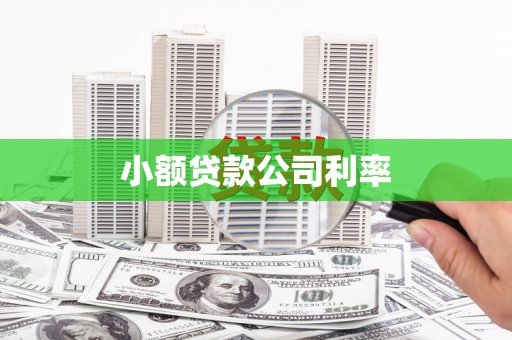 康马小额贷款公司利率