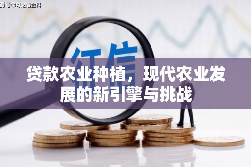 康马贷款农业种植，现代农业发展的新引擎与挑战