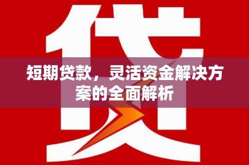 康马短期贷款，灵活资金解决方案的全面解析