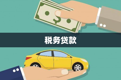 康马税务贷款