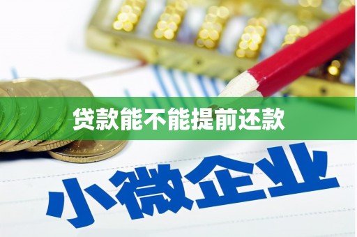 康马贷款能不能提前还款