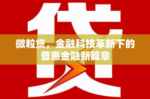 康马微粒贷，金融科技革新下的普惠金融新篇章