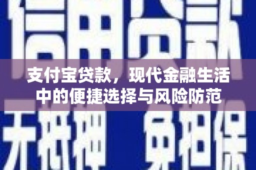 康马支付宝贷款，现代金融生活中的便捷选择与风险防范