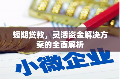 康马短期贷款，灵活资金解决方案的全面解析