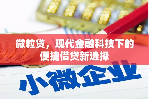 康马微粒贷，现代金融科技下的便捷借贷新选择