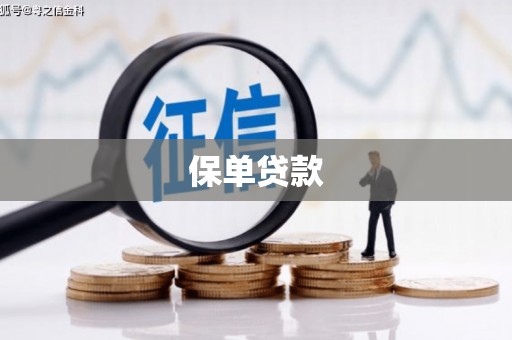 康马保单贷款