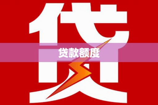 康马贷款额度