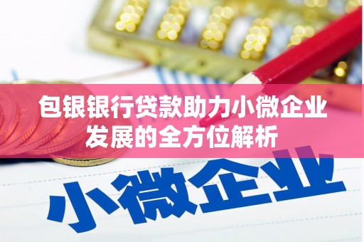 康马包银银行贷款助力小微企业发展的全方位解析