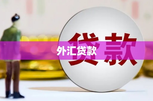 康马外汇贷款