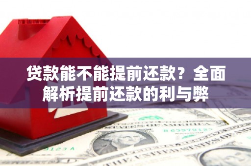康马贷款能不能提前还款？全面解析提前还款的利与弊