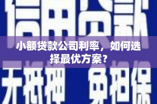 康马小额贷款公司利率，如何选择最优方案？