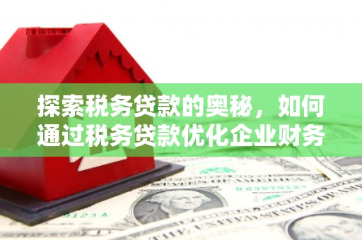 康马探索税务贷款的奥秘，如何通过税务贷款优化企业财务