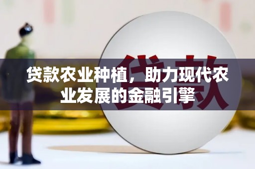 康马贷款农业种植，助力现代农业发展的金融引擎
