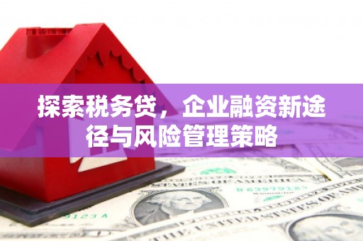 康马探索税务贷，企业融资新途径与风险管理策略