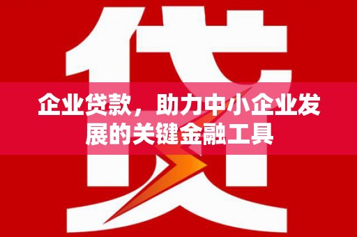 康马企业贷款，助力中小企业发展的关键金融工具