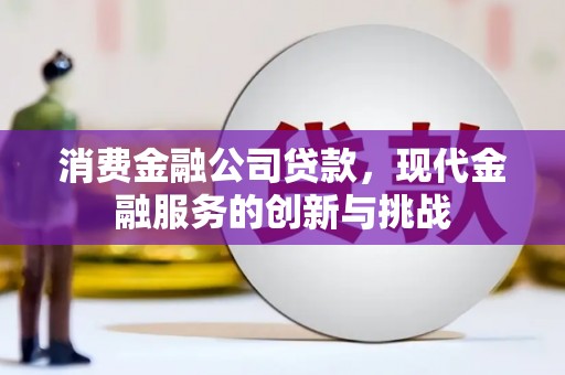 康马消费金融公司贷款，现代金融服务的创新与挑战