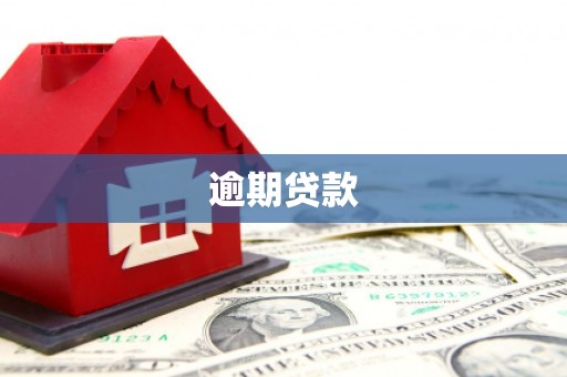 康马逾期贷款