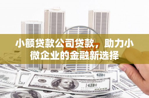 康马小额贷款公司贷款，助力小微企业的金融新选择