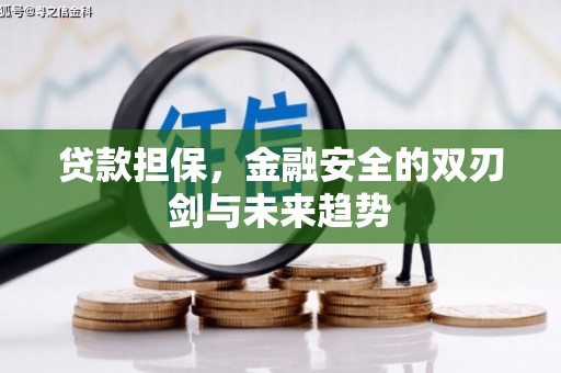 康马贷款担保，金融安全的双刃剑与未来趋势