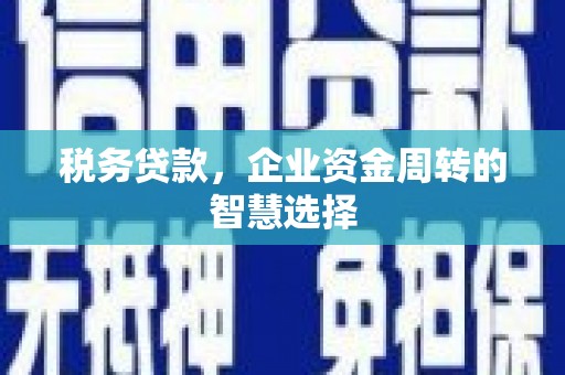 康马税务贷款，企业资金周转的智慧选择