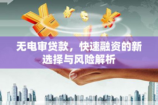 康马无电审贷款，快速融资的新选择与风险解析