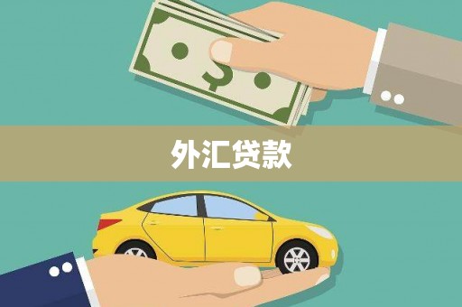 康马外汇贷款