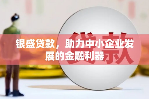 康马银盛贷款，助力中小企业发展的金融利器