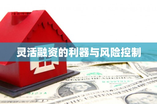 康马灵活融资的利器与风险控制