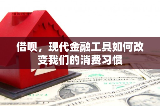 康马借呗，现代金融工具如何改变我们的消费习惯
