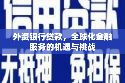 康马外资银行贷款，全球化金融服务的机遇与挑战