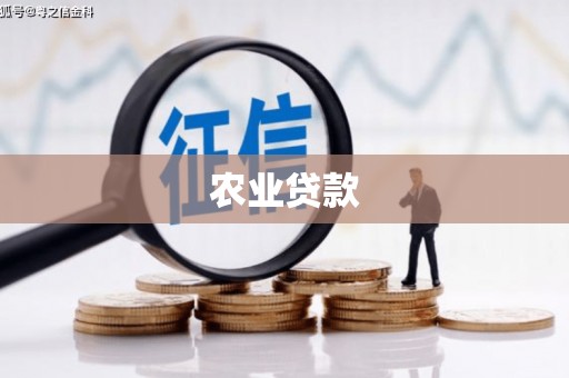 康马农业贷款