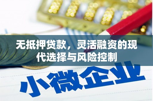 康马无抵押贷款，灵活融资的现代选择与风险控制