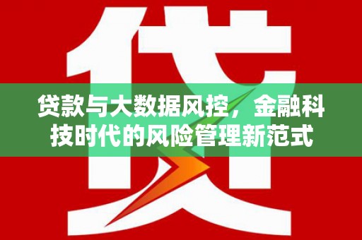 康马贷款与大数据风控，金融科技时代的风险管理新范式