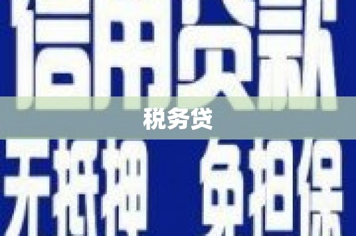 康马税务贷