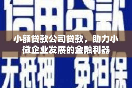 康马小额贷款公司贷款，助力小微企业发展的金融利器
