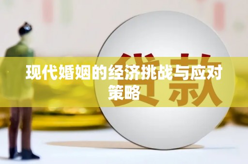 康马现代婚姻的经济挑战与应对策略
