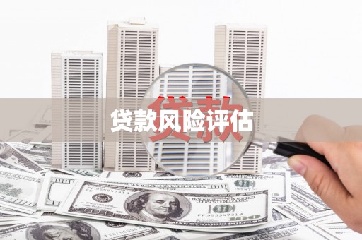 康马贷款风险评估