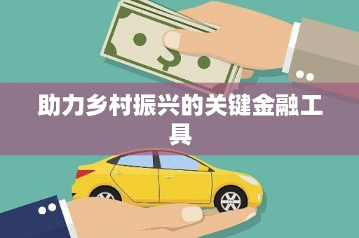 康马助力乡村振兴的关键金融工具