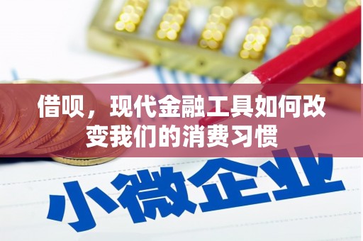 康马借呗，现代金融工具如何改变我们的消费习惯