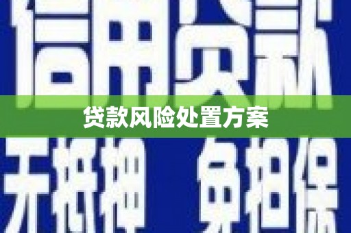康马贷款风险处置方案