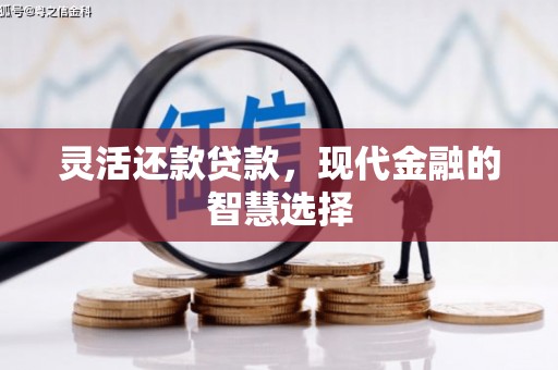 康马灵活还款贷款，现代金融的智慧选择