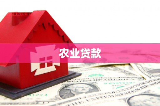 康马农业贷款