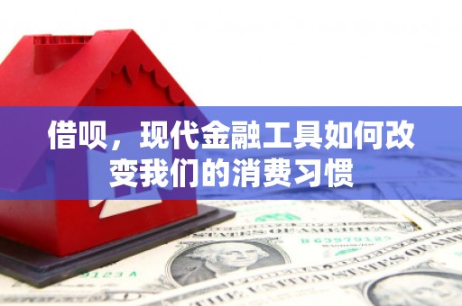 康马借呗，现代金融工具如何改变我们的消费习惯