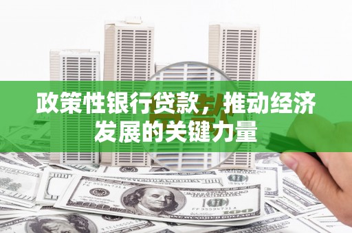 康马政策性银行贷款，推动经济发展的关键力量