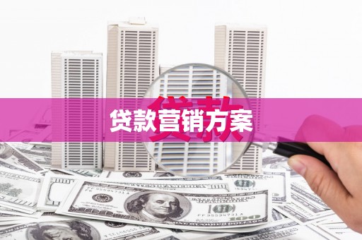 康马贷款营销方案