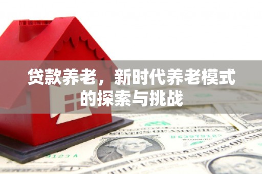 康马贷款养老，新时代养老模式的探索与挑战
